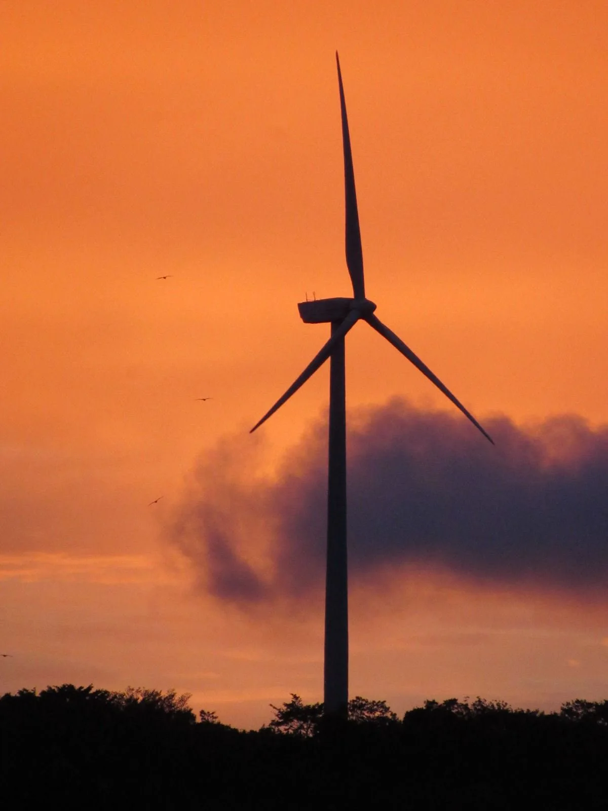 El viento de Tilarán al atardecer